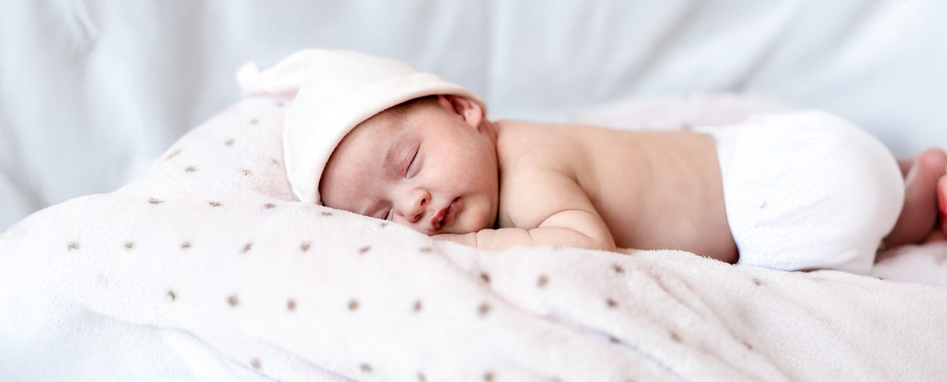 https://friendsofalpha.com/wp-content/uploads/2024/12/shutterstock_1905426556.jpg
